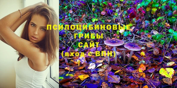 соль курить ск Верея