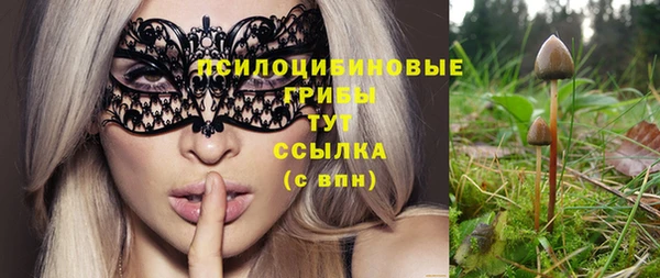 mix Верхний Тагил