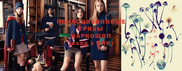 соль курить ск Верея